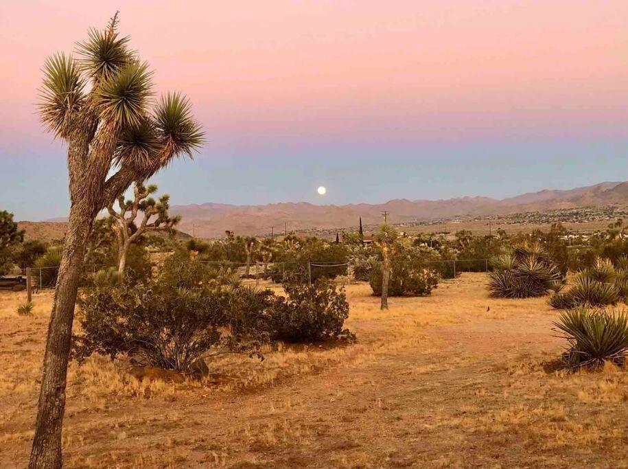 Desert Dreamer Yucca Valley Bagian luar foto